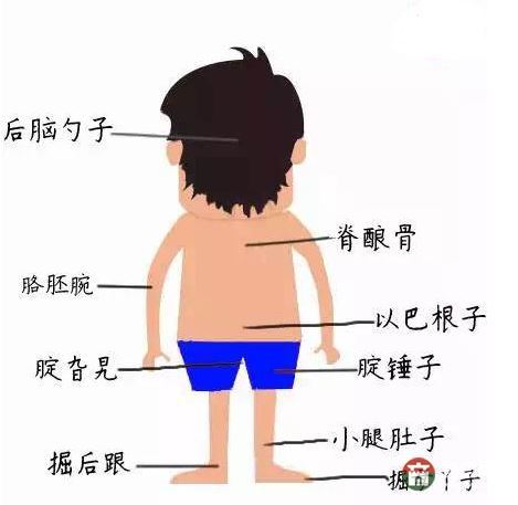只有莒縣人才能看懂的人體構(gòu)造圖，好深奧好羞澀