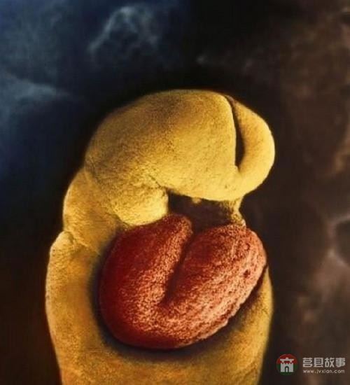 【真知】男人液體進(jìn)入女人體內(nèi)后發(fā)生的“化學(xué)反應(yīng)”，太震撼了……