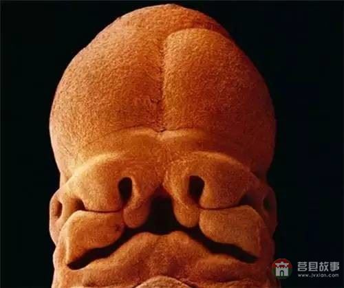 【真知】男人液體進(jìn)入女人體內(nèi)后發(fā)生的“化學(xué)反應(yīng)”，太震撼了……