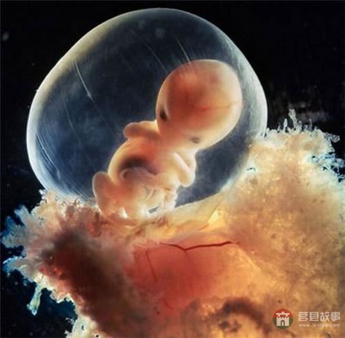 【真知】男人液體進(jìn)入女人體內(nèi)后發(fā)生的“化學(xué)反應(yīng)”，太震撼了……
