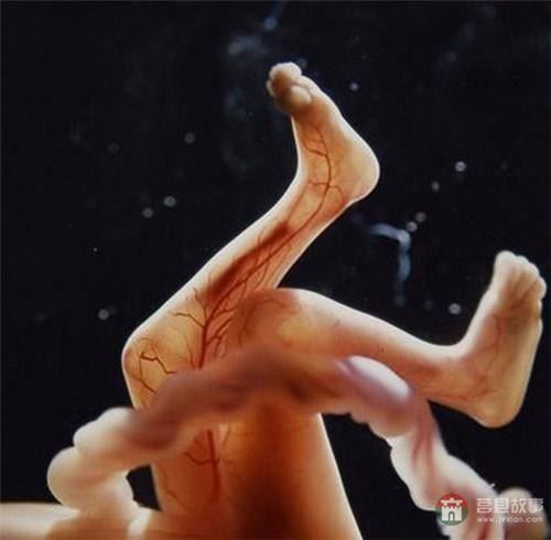 【真知】男人液體進(jìn)入女人體內(nèi)后發(fā)生的“化學(xué)反應(yīng)”，太震撼了……