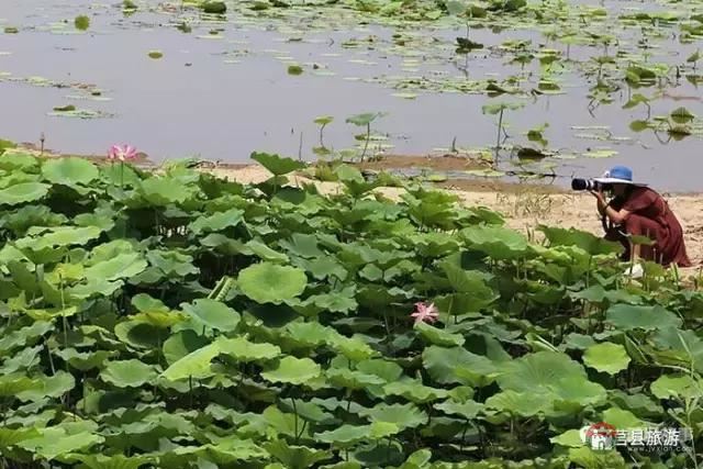 杭州的西湖，莒縣的西湖煙雨