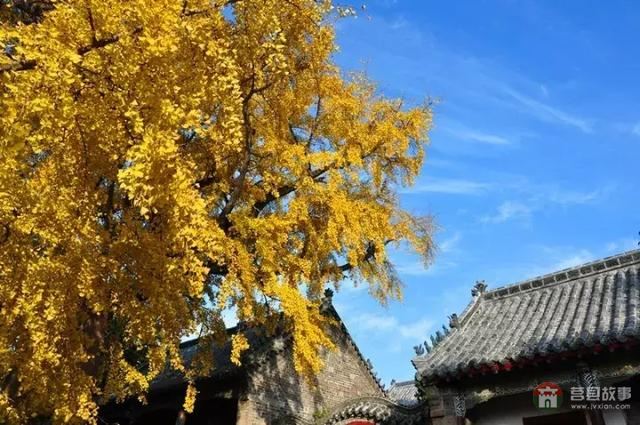 再過(guò)幾天，莒縣這個(gè)地方要火……先睹為快！