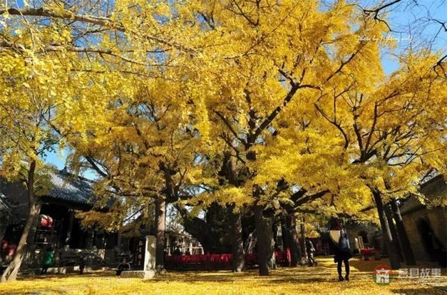 再過(guò)幾天，莒縣這個(gè)地方要火……先睹為快！