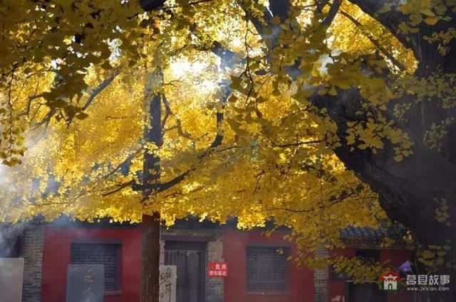 再過(guò)幾天，莒縣這個(gè)地方要火……先睹為快！