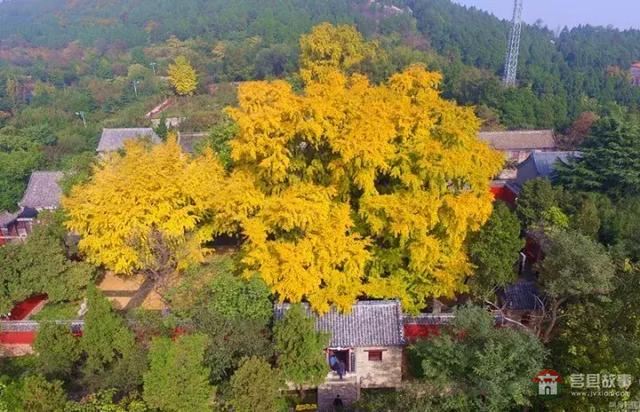 再過(guò)幾天，莒縣這個(gè)地方要火……先睹為快！