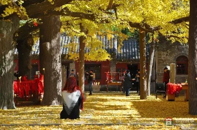 再過(guò)幾天，莒縣這個(gè)地方要火……先睹為快！