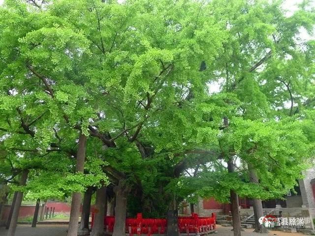 厲害了，大莒縣！