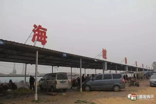 剛剛上市！莒縣這里好大一個“小油桃”，一年能賣3個億