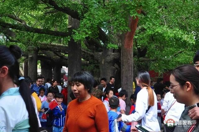 國慶假期莒縣最新“旅行情報圖”，為你泄密哪里“人從眾”