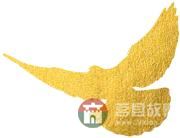 國慶假期莒縣最新“旅行情報圖”，為你泄密哪里“人從眾”