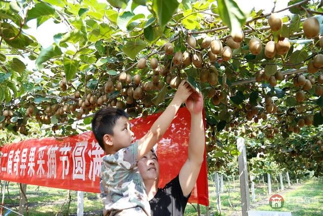 國慶假期莒縣最新“旅行情報圖”，為你泄密哪里“人從眾”